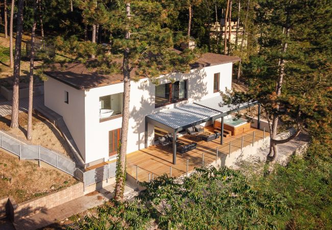 Villa i Hradištko - Villa Stechovice SHR081