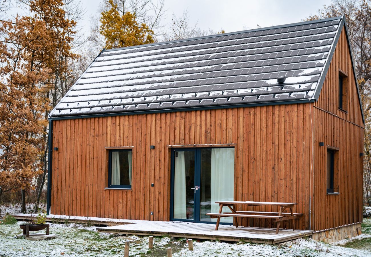 Villa i Cervené Janovice - Červené Janovice SCKV023-KA