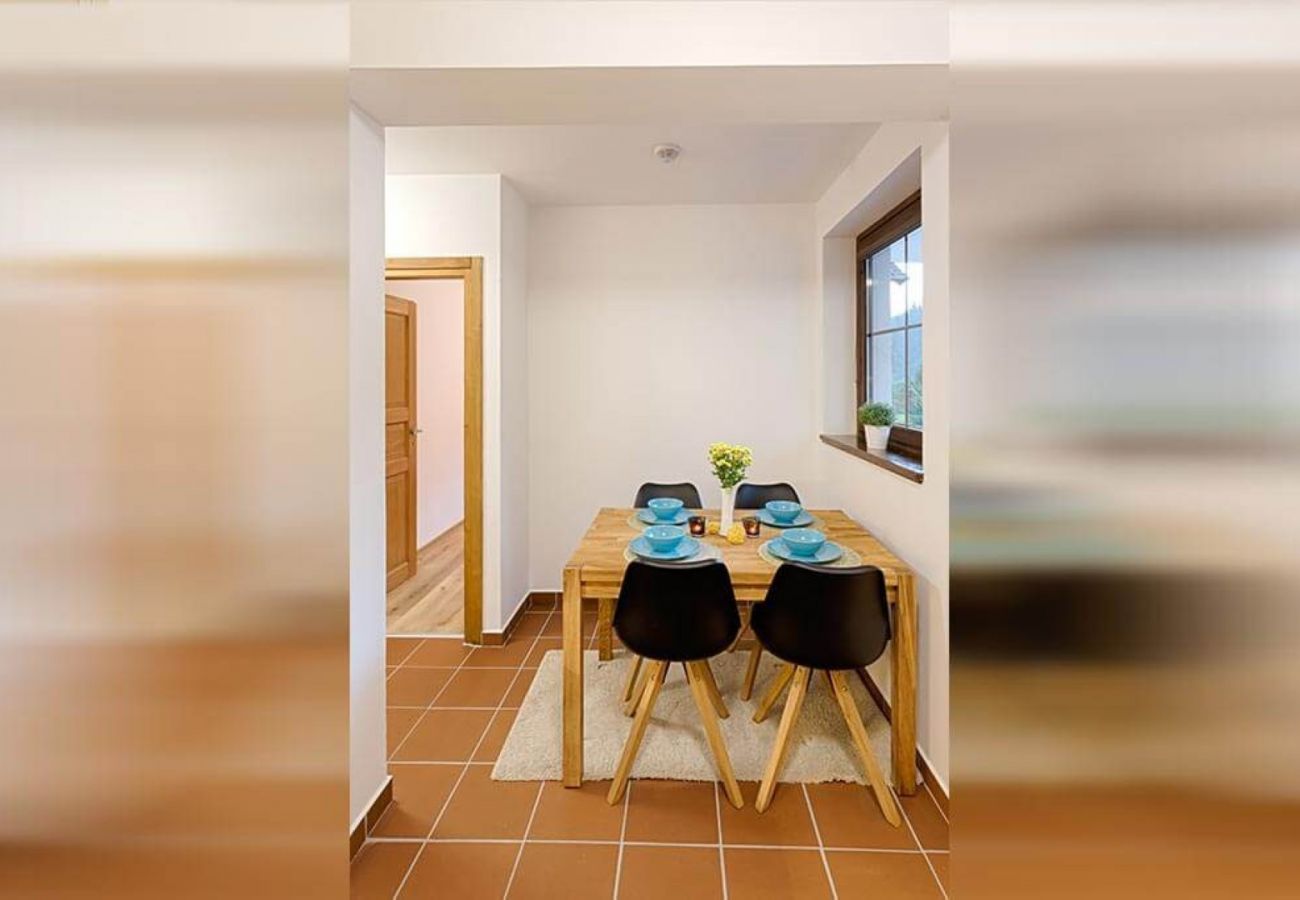 Appartement in Harrachov - Harrachov LHJE262