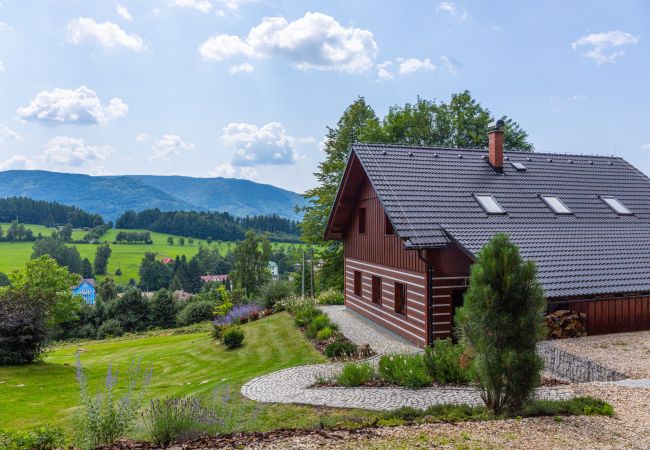 Villa en Lázne Libverda - Lazne Libverda LLP015