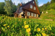 Villa en Rokytnice nad Jizerou - Rokytnice KRM450