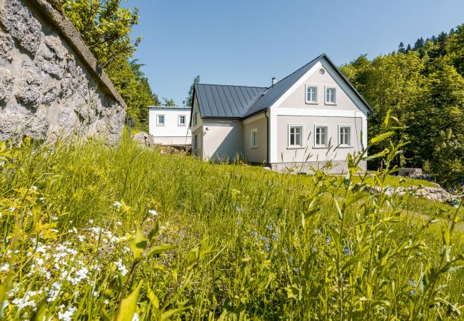 Villa en Desná - Villa met sauna LDD032