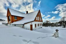 Villa en Víchová nad Jizerou - Víchová nad Jizerou LVV033