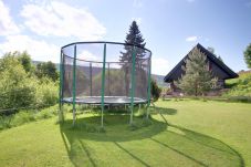 Villa à Horní Maršov - Horni Marsov KHK310