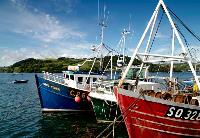 Cottage in Leap - The White Cottage Leap Cottage in Leap - The White Cottage Leap