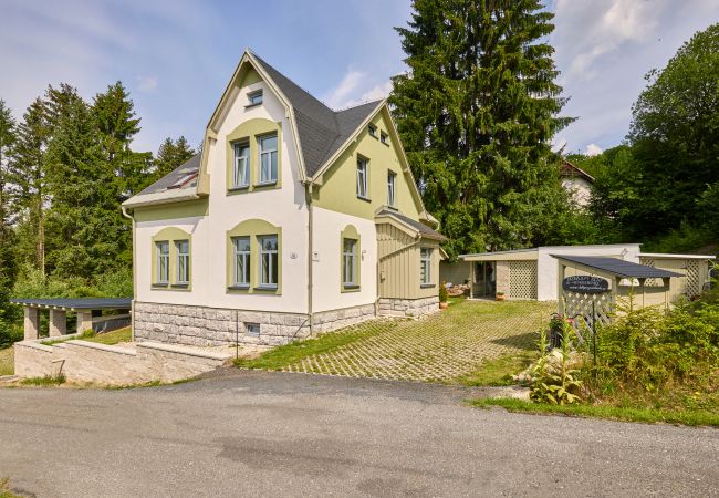 Villa/Dettached house in Albrechtice v Jizerských horách - Albrechtice LAT085