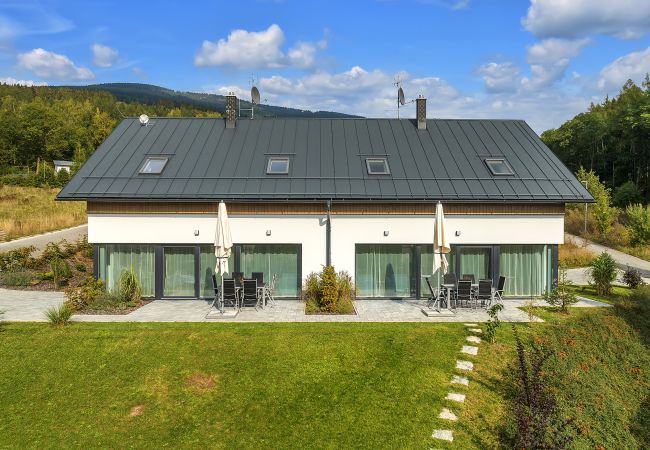 Villa/Dettached house in Cerný Dul - Cerny Dul KCL060
