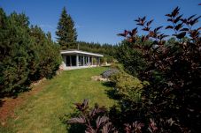 Villa in Stará Ríše - Villa Telc - VNK017