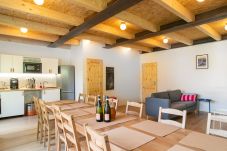 Villa in Desná - Villa Desna - LDS021
