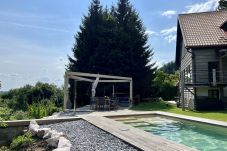 Villa in Tanvald - Tanvald LSH141