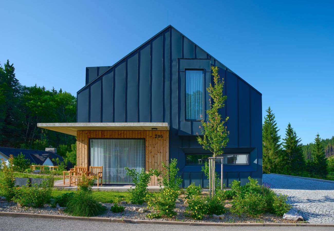 Apartment in Cerný Dul - Cerny Dul KCB045-B2